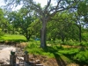 3F Meadows, Atascadero, California