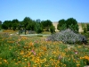 Coyote Canyon, San Luis Obispo