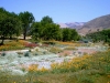 Coyote Canyon, San Luis Obispo