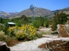 Coyote Canyon, San Luis Obispo