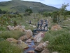 Coyote Canyon, San Luis Obispo
