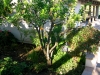 Coyote Canyon, San Luis Obispo