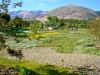 Coyote Canyon, San Luis Obispo