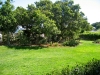 Varian Ranch, Edna Valley, California Central Coast
