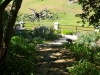 Varian Ranch, Edna Valley, California Central Coast