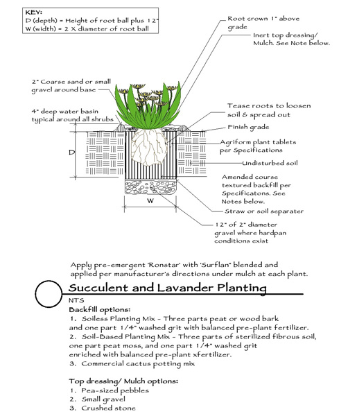 succulentplanting-alloway