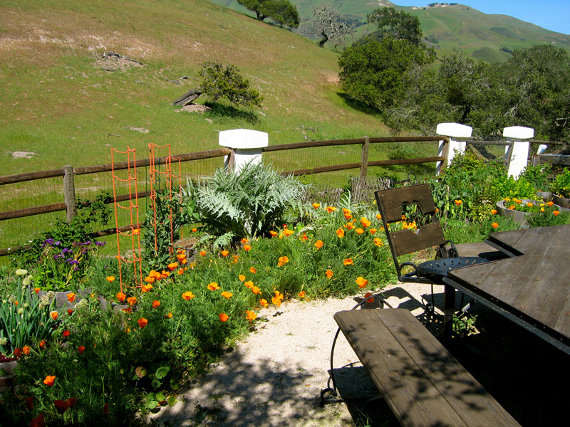 Varian Ranch, Edna Valley, California Central Coast